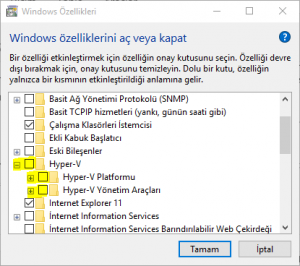 Intel Haxm Win10
