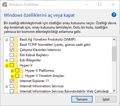 Intel Haxm Win10
